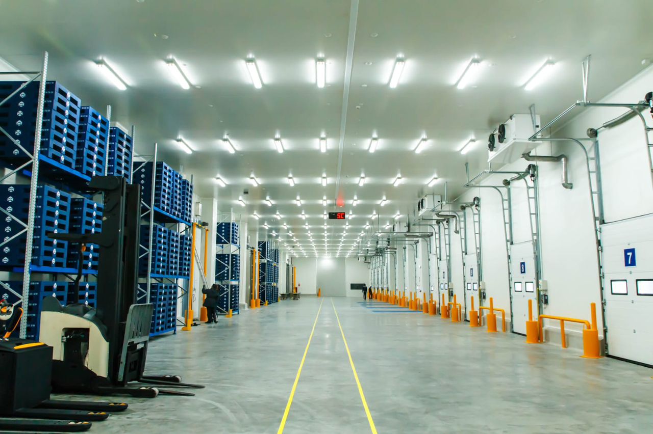Import Export Operations